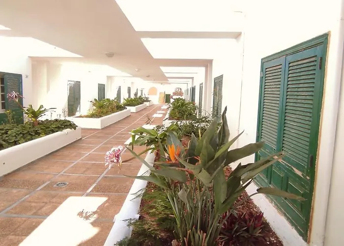 Pool Terrace 아파트 엘메다노